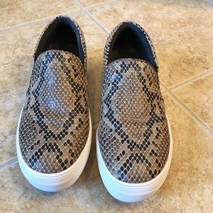 Steve Madden snakeprint Gills slip-on sneakers